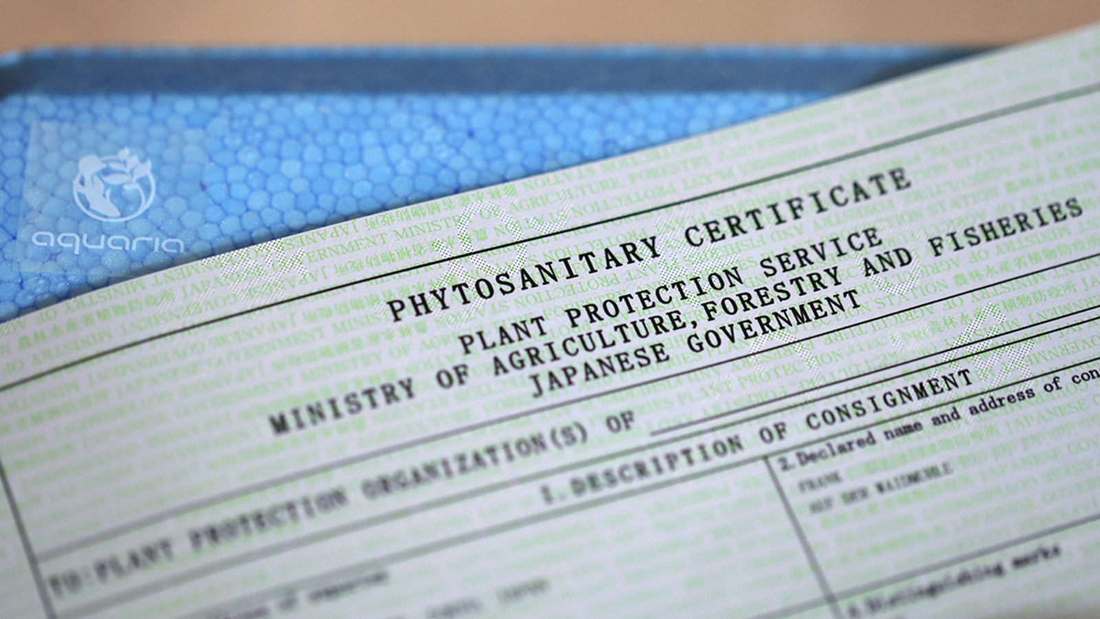 phytosanitary_cert