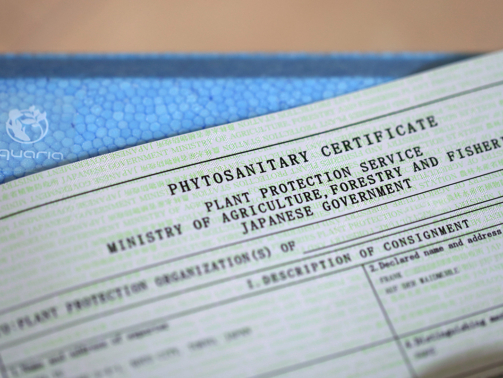 phytosanitary_cert